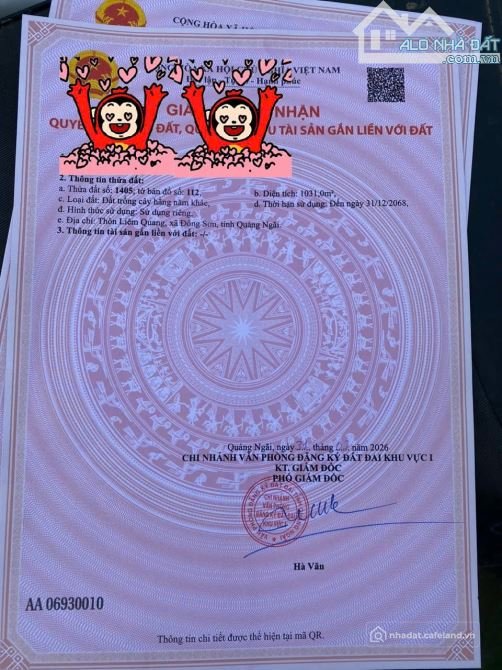 Bất động sản tại Quảng Ngãi - ảnh 1