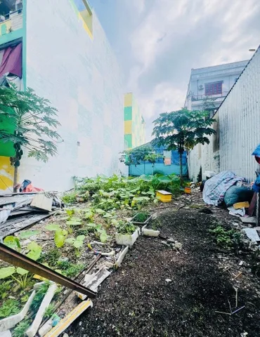 Bất động sản tại TP. Hồ Chí Minh - ảnh 1