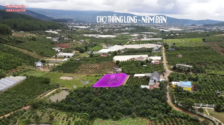 Bất động sản tại Lâm Đồng - ảnh 1