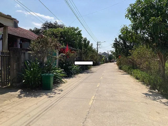 Bất động sản tại Đà Nẵng - ảnh 1