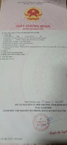 Bất động sản tại Bình Dương - ảnh 1
