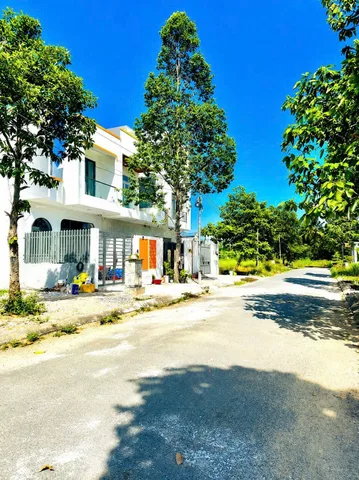 Bất động sản tại Long An - ảnh 1