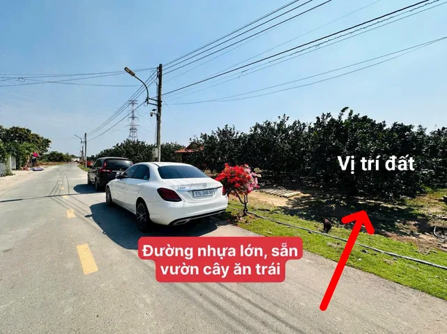 Bất động sản tại Bình Dương - ảnh 1