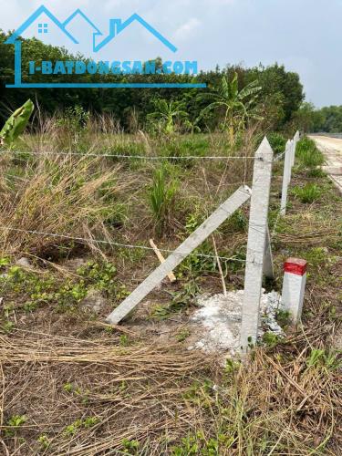 Bất động sản tại Bình Dương - ảnh 1