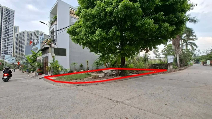 Bất động sản tại TP. Hồ Chí Minh - ảnh 1