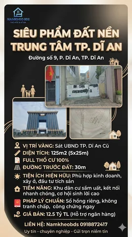 Bất động sản tại Bình Dương - ảnh 1