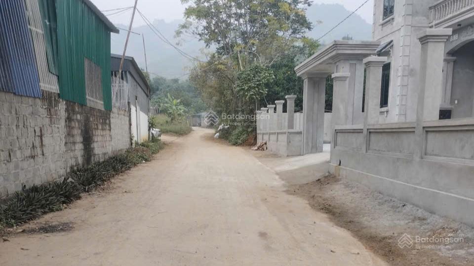 Bất động sản tại Hòa Bình - ảnh 1