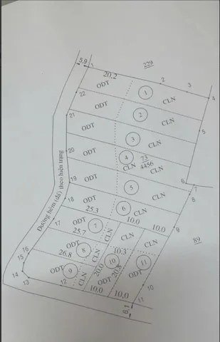 Bất động sản tại Lâm Đồng - ảnh 1