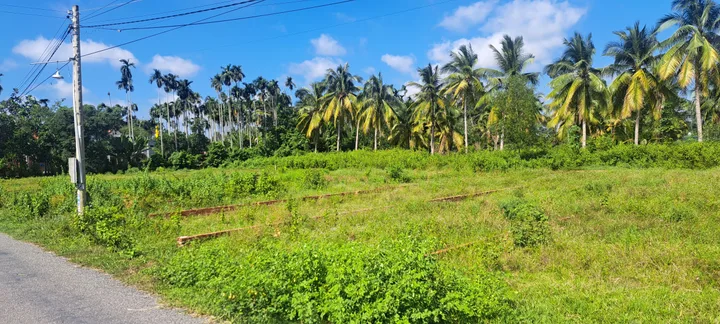 Bất động sản tại Tây Ninh - ảnh 1
