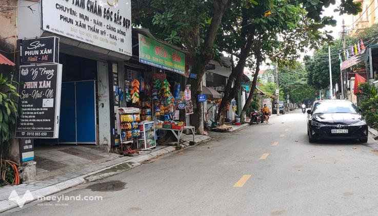 Bất động sản tại Vĩnh Phúc - ảnh 1