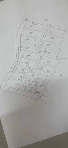 Bất động sản tại Lâm Đồng - ảnh 1
