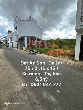 Bất động sản tại Lâm Đồng - ảnh 1