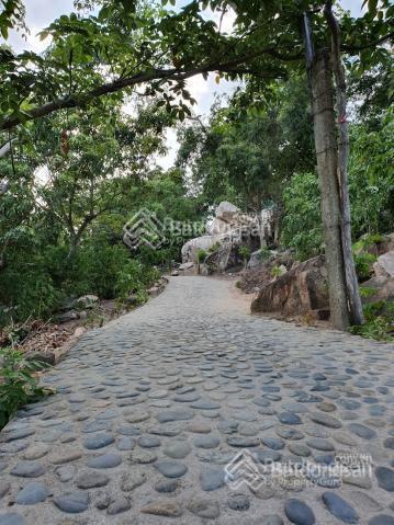 Bất động sản tại Ninh Thuận - ảnh 1
