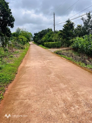 Bất động sản tại Lâm Đồng - ảnh 1