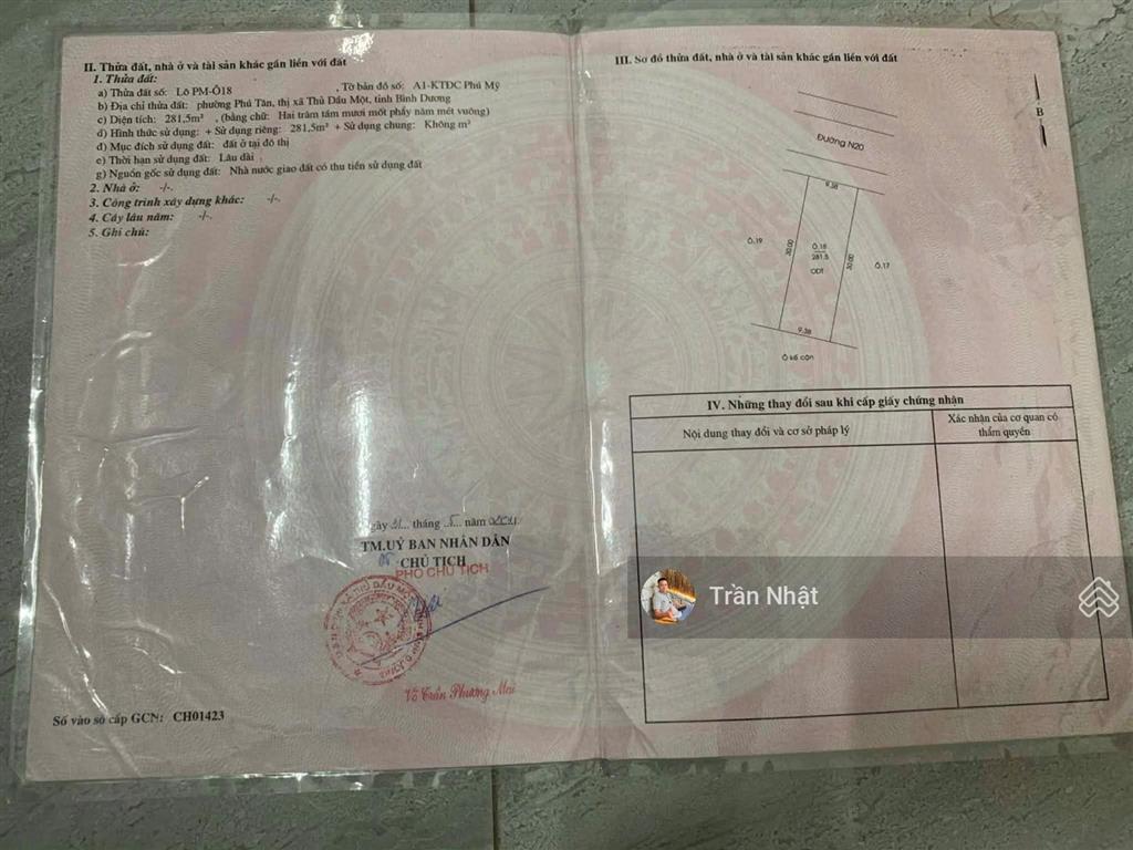 Bất động sản tại Bình Dương - ảnh 1