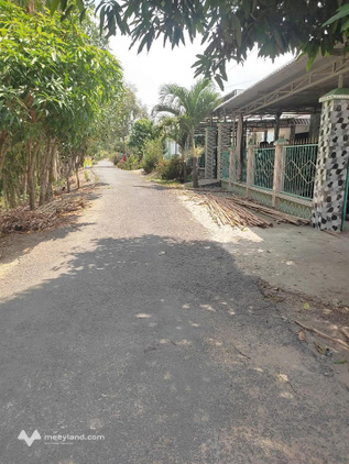 Bất động sản tại Đồng Tháp - ảnh 1