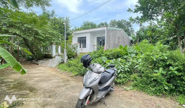 Bất động sản tại Đà Nẵng - ảnh 1