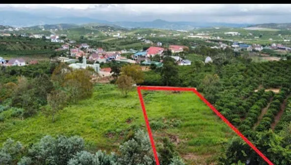 Bất động sản tại Lâm Đồng - ảnh 1