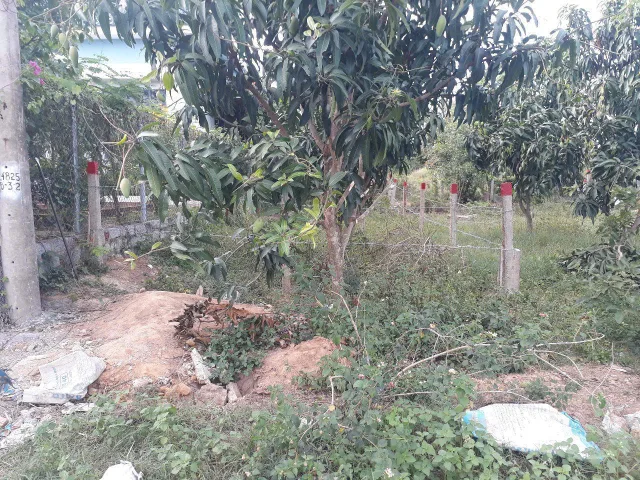 Bất động sản tại Khánh Hòa - ảnh 1