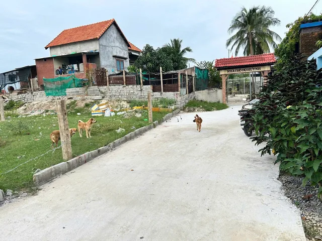 Bất động sản tại Khánh Hòa - ảnh 1