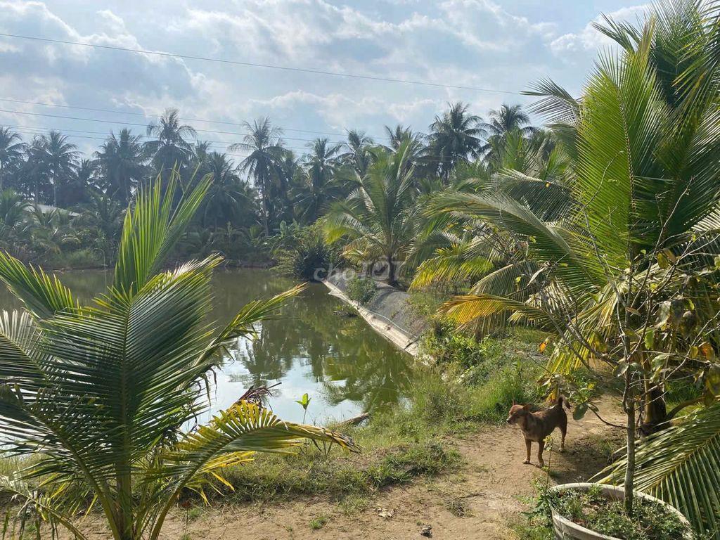 Bất động sản tại Trà Vinh - ảnh 1