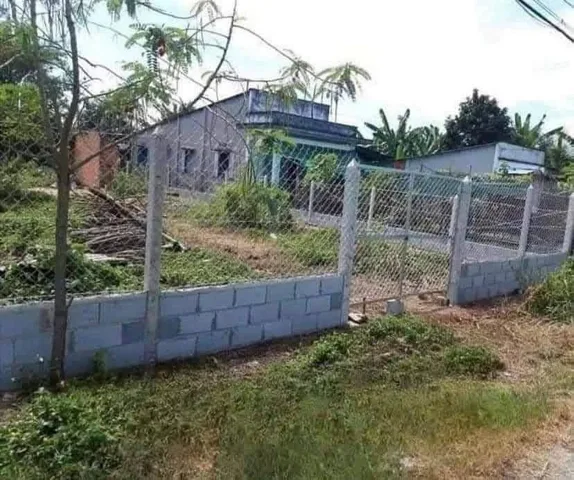Bất động sản tại Bình Dương - ảnh 1