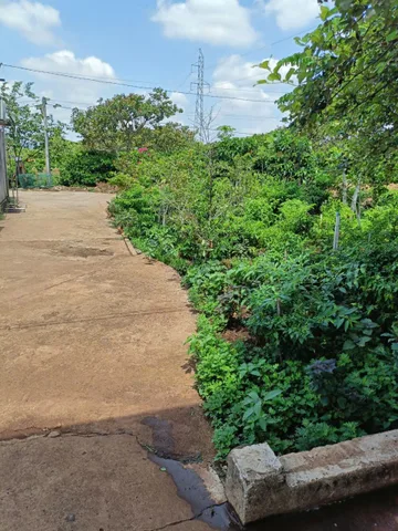 Bất động sản tại Đắk Lắk - ảnh 1