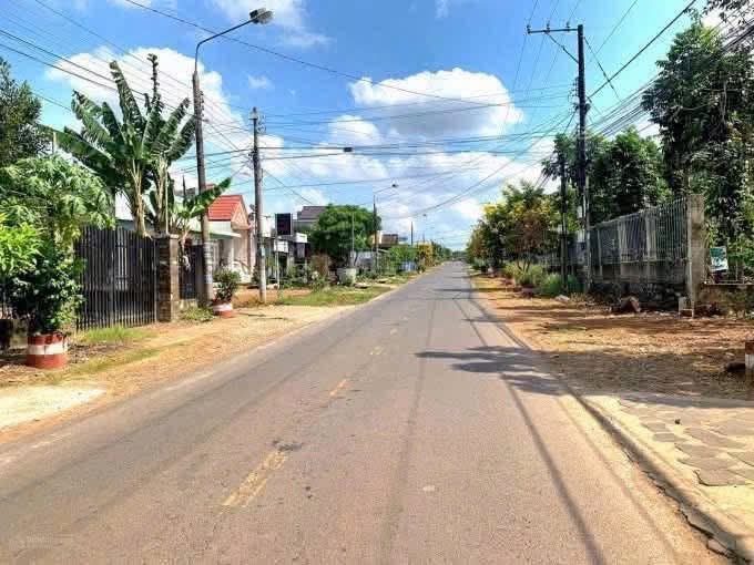 Bất động sản tại Bình Dương - ảnh 1
