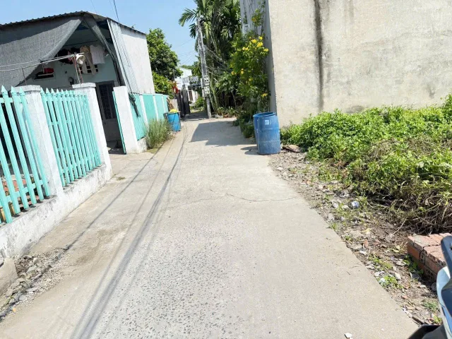 Bất động sản tại Bình Dương - ảnh 1