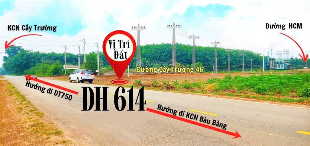 Bất động sản tại Bình Dương - ảnh 1