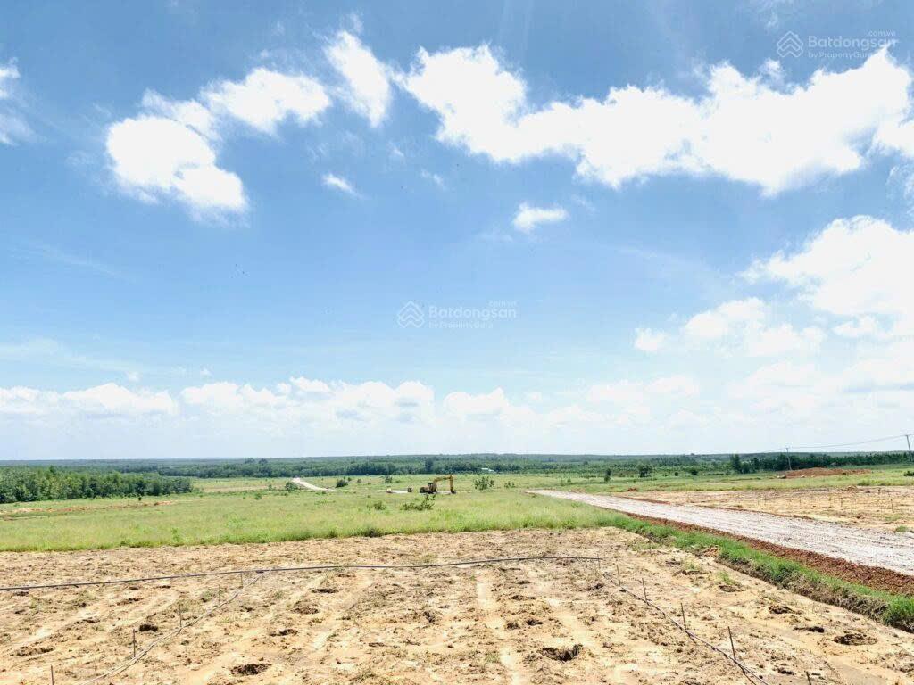 Bất động sản tại Bình Dương - ảnh 1