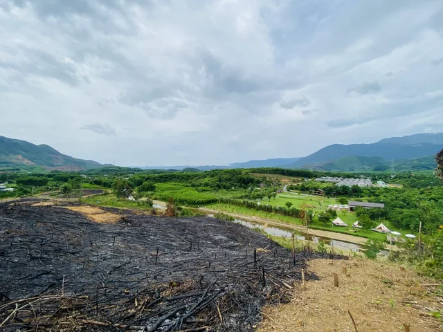 Bất động sản tại Đà Nẵng - ảnh 1