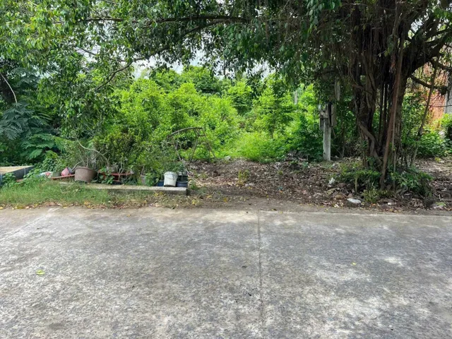 Bất động sản tại Tây Ninh - ảnh 1
