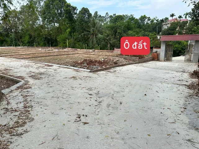 Bất động sản tại Phú Thọ - ảnh 1