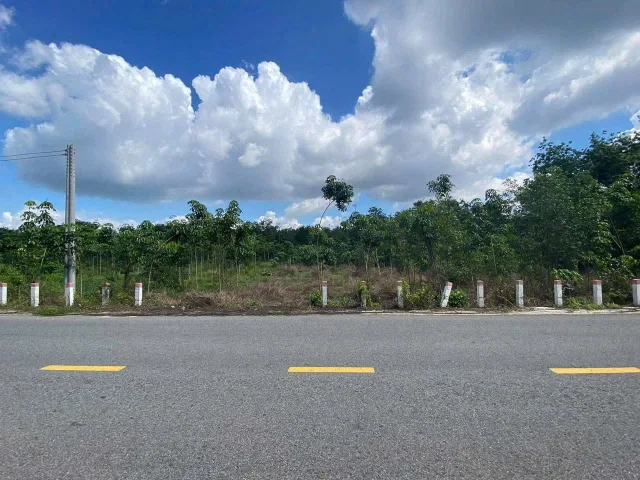 Bất động sản tại Đồng Nai - ảnh 1