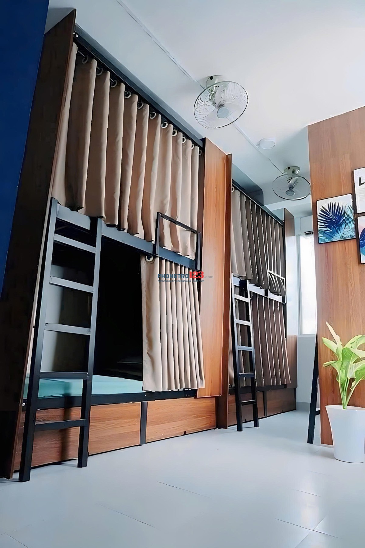 Bất động sản tại TP. Hồ Chí Minh - ảnh 1