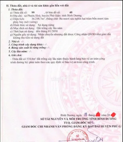 Bất động sản tại Bình Dương - ảnh 1