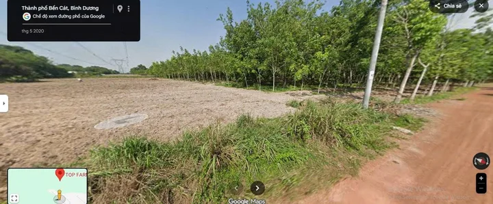 Bất động sản tại Bình Dương - ảnh 1