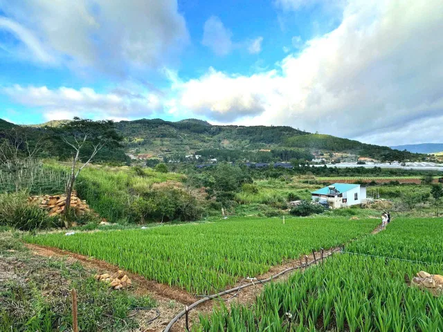 Bất động sản tại Lâm Đồng - ảnh 1