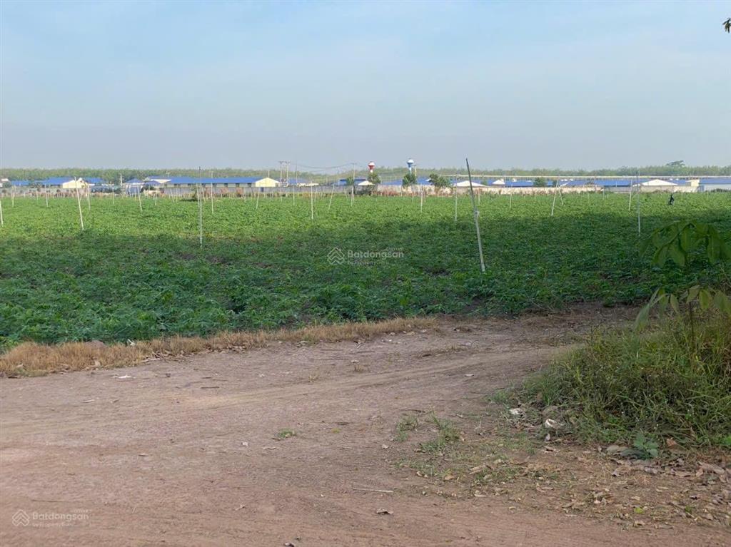 Bất động sản tại Tây Ninh - ảnh 1