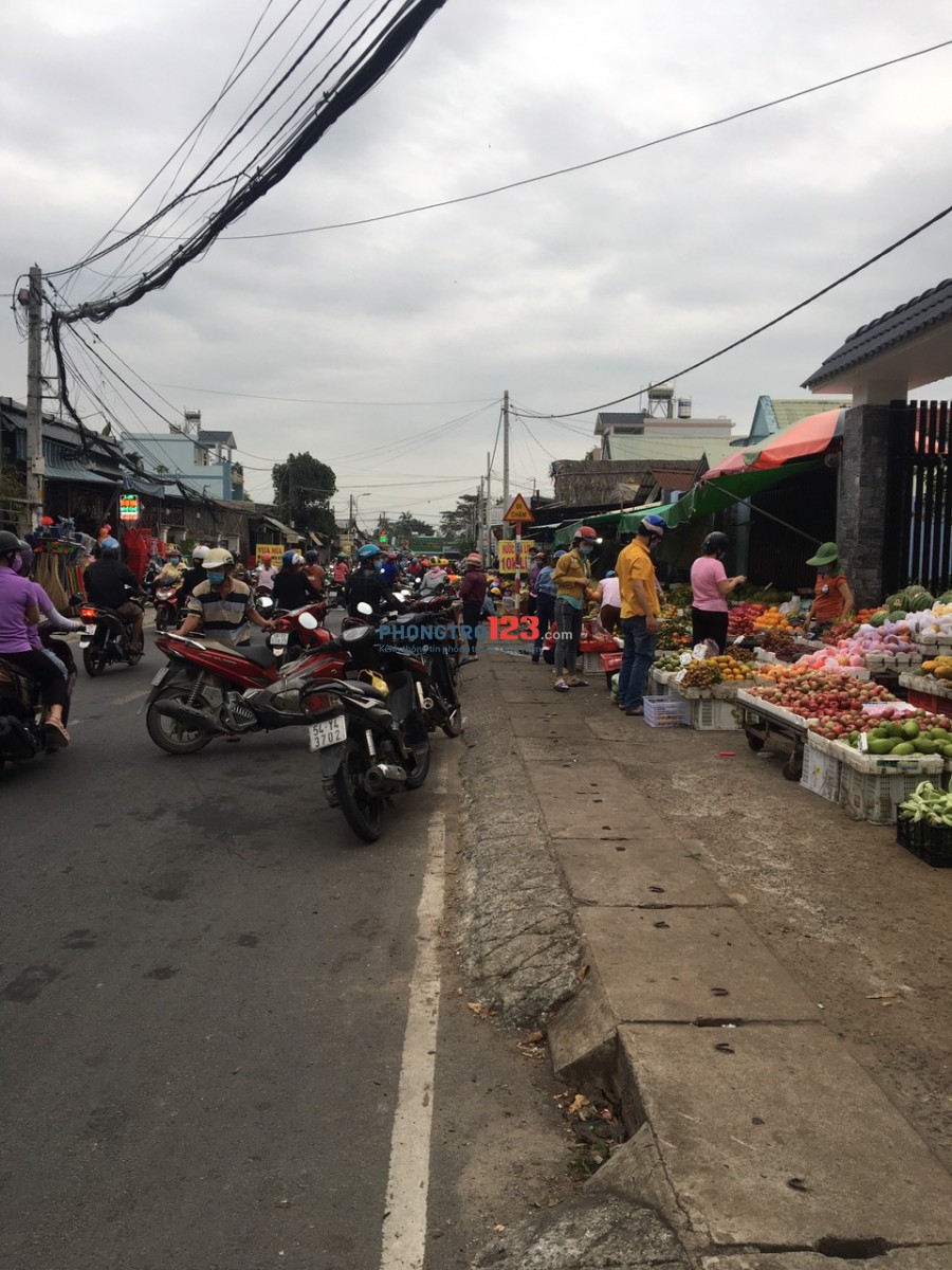 Bất động sản tại TP. Hồ Chí Minh - ảnh 1