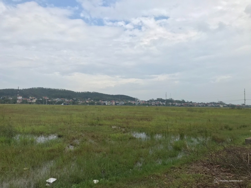 Bất động sản tại Hải Phòng - ảnh 1