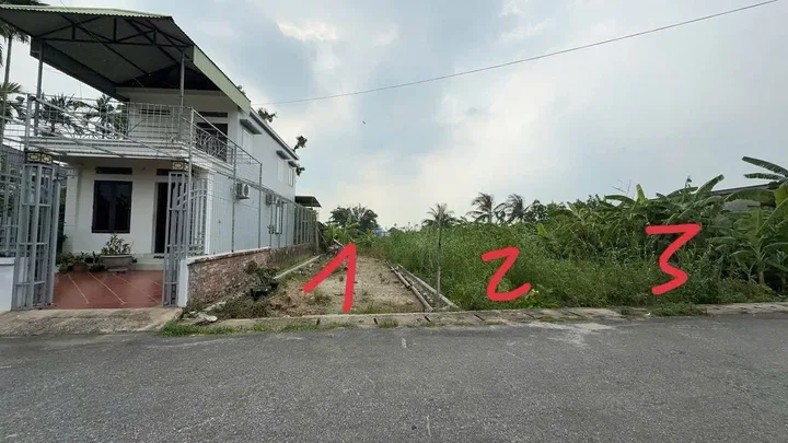 Bất động sản tại Hải Phòng - ảnh 1