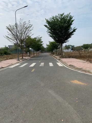 Bất động sản tại Bình Dương - ảnh 1
