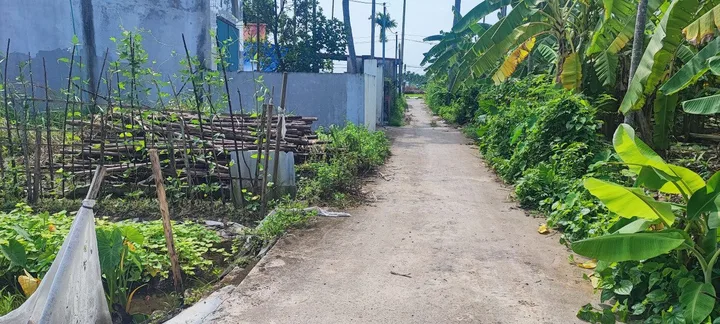 Bất động sản tại Hải Phòng - ảnh 1
