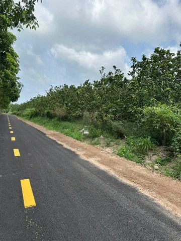 Bất động sản tại Bình Dương - ảnh 1