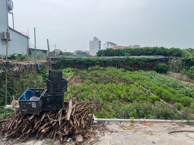 Bất động sản tại Hưng Yên - ảnh 1
