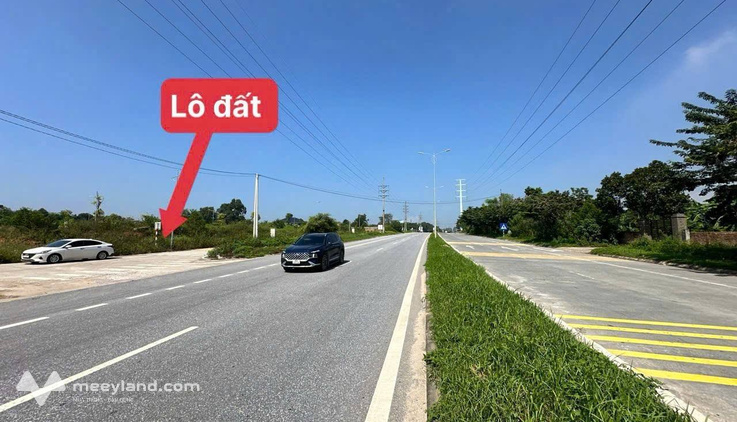 Bất động sản tại Vĩnh Phúc - ảnh 1