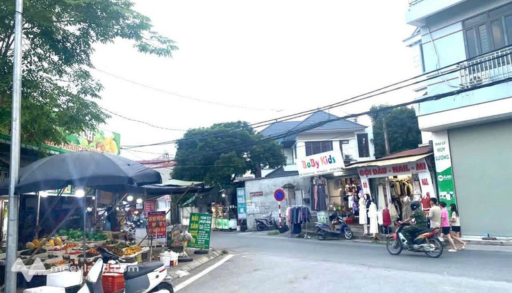 Bất động sản tại Vĩnh Phúc - ảnh 1