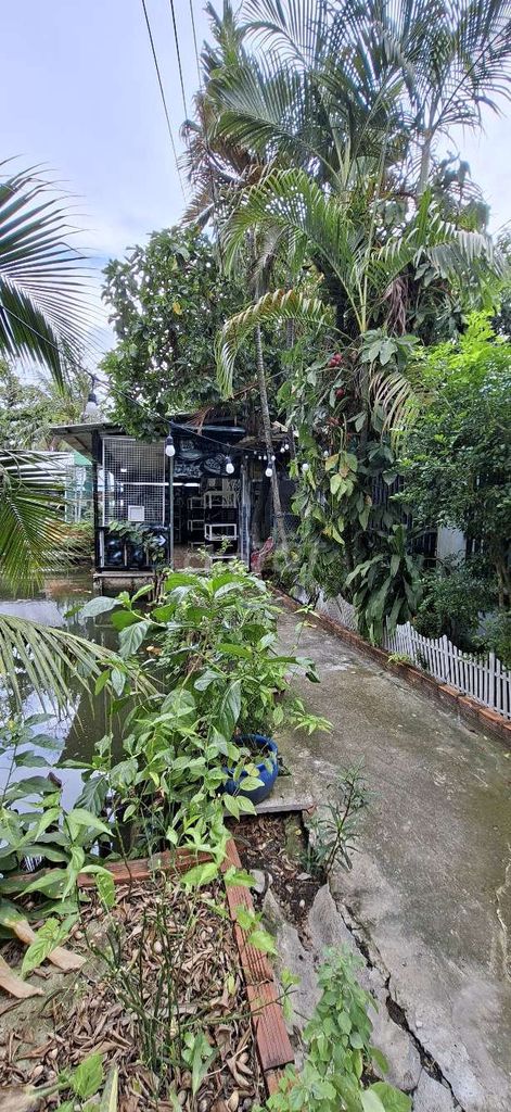 Nhà riêng tại Bình Thạnh, TP. Hồ Chí Minh - ảnh 3